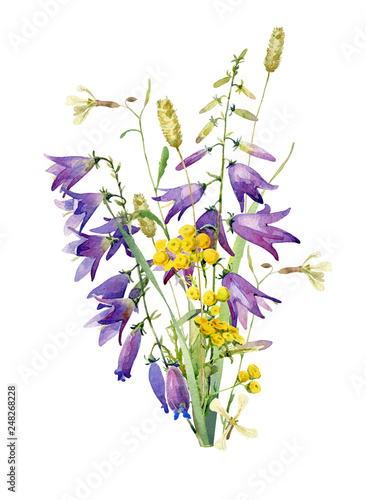 A bouquet of wild flowers of bluebell and greenery on a white background. For greetings and invitations