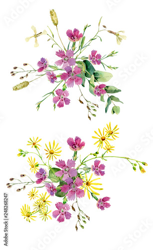Bouquets of yellow watercolor daisies and wild carnations against a white background. For greetings, invitations, weddings and birthday