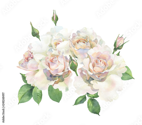 A bouquet of roses on a white background. For congratulations and invitations for weddings, birthdays, mother's days © Olga F