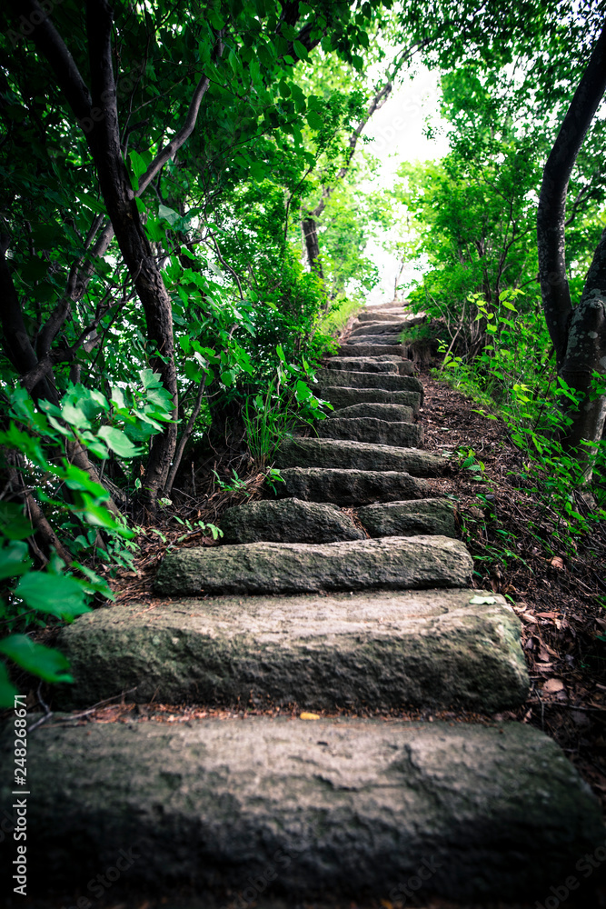 Flight of stairs leading up to Ubuyagasaki Shrine near Lake Kawaguchi Japan