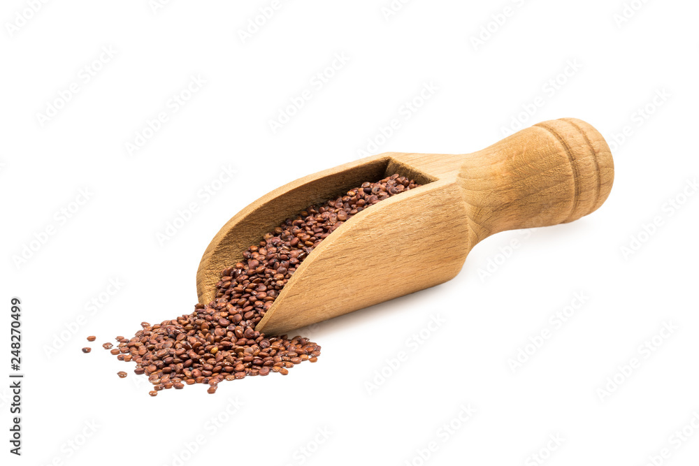 Small wooden spoon or scoop with red quinoa seeds seen from the side and isolated on white background