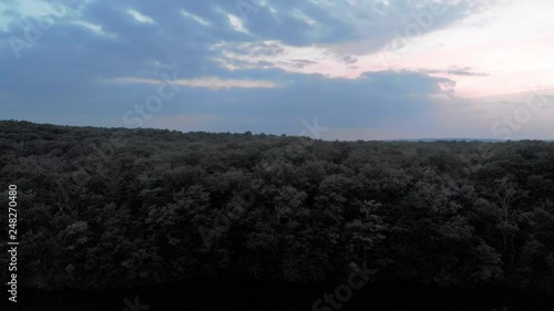 Aerial: A Forest of Trees photo