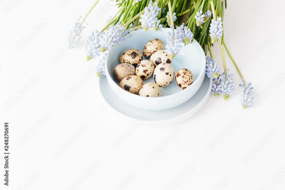 Quail eggs in light blue bowl on white textured background