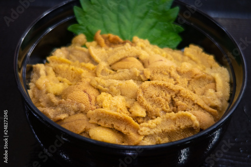  Sea urchin bowl　　ウニ丼