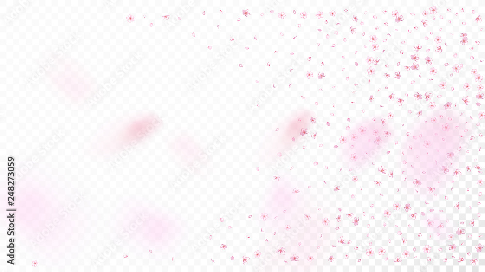 Nice Sakura Blossom Isolated Vector. Summer Showering 3d Petals Wedding Paper. Japanese Blurred Flowers Wallpaper. Valentine, Mother's Day Magic Nice Sakura Blossom Isolated on White