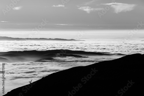 Beautiful view of Umbria valley (Italy) covered by a sea of fog, with trees silhouettes in the foreground