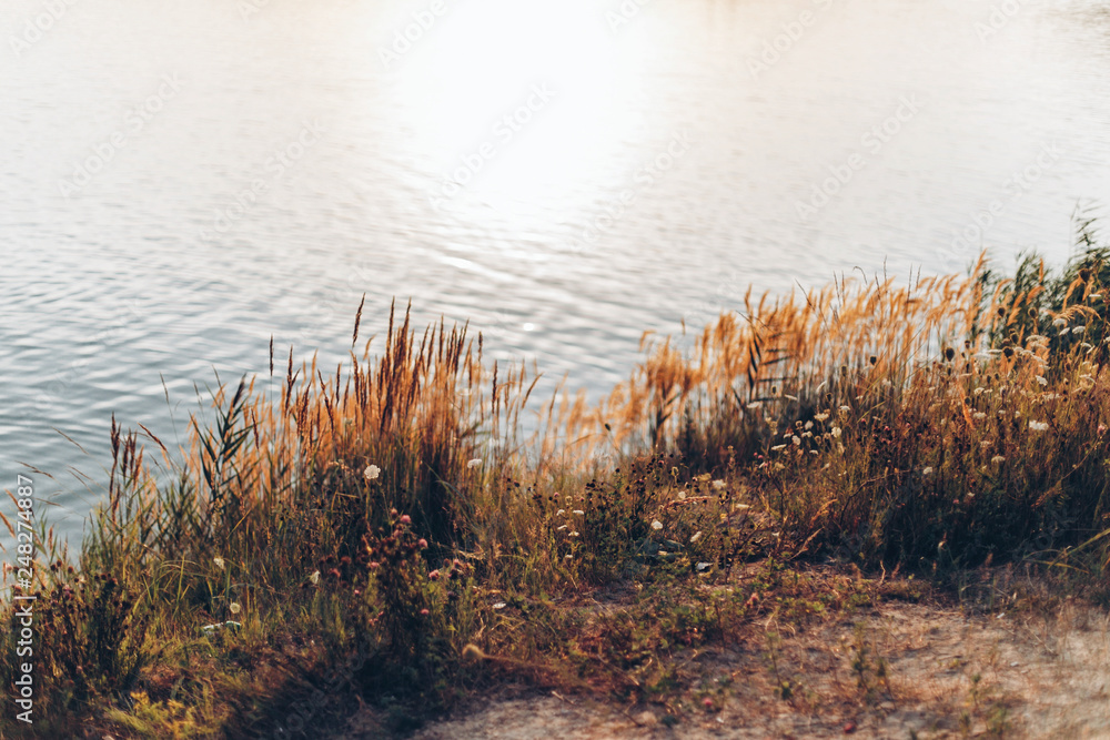 Beautiful lake bank at sunset, blue river water landscape near grass shore Beautiful lake bank at sunset, blue river water landscape near grass shore