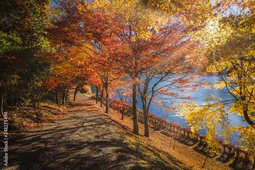 Usui Lake Autumn photo