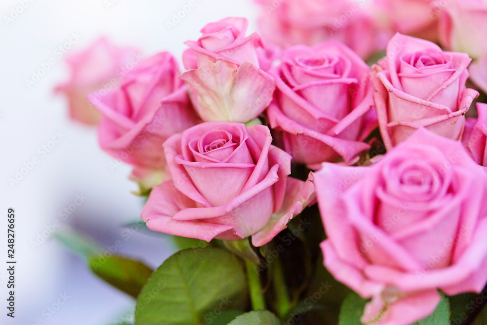 Fototapeta premium bouquet of pink roses