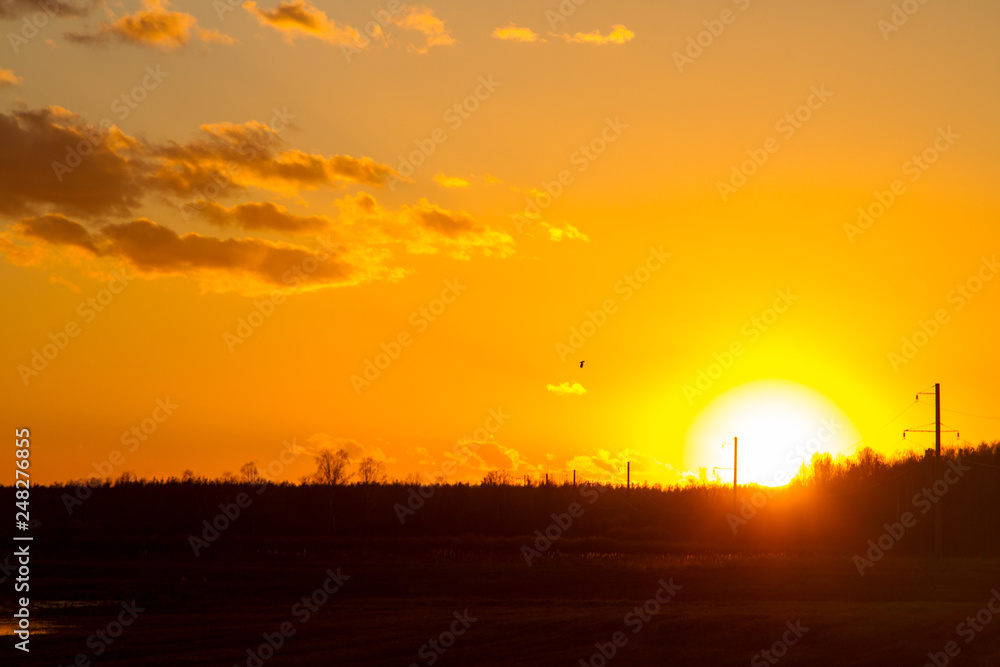 Obraz premium Sunset on the spring field