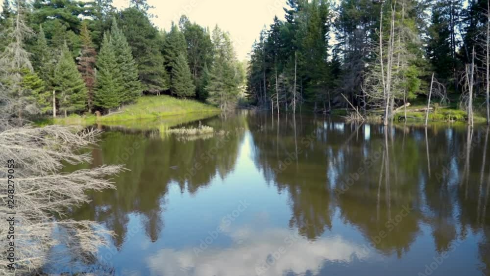 Still Lake in Tremblant, Canada, Surrounded by Evergreen Trees Still Lake in Tremblant, Canada, Surrounded by Evergreen Trees