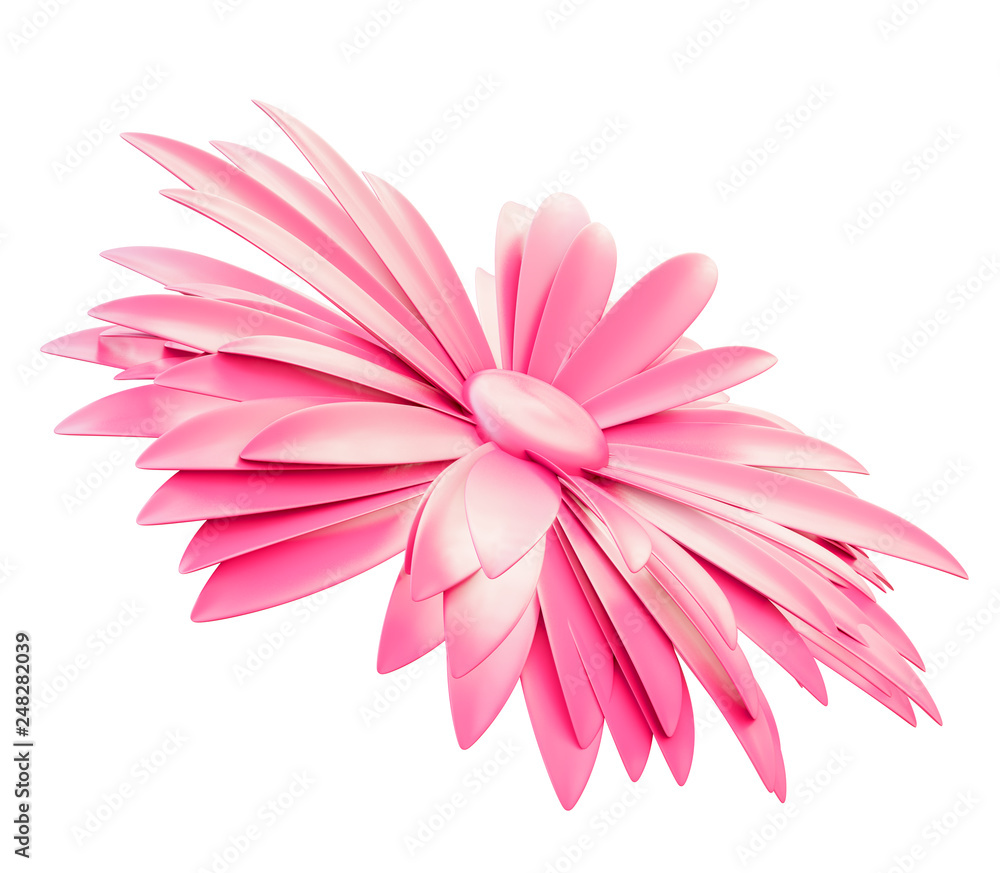 Light Pink Flower isolated on white background