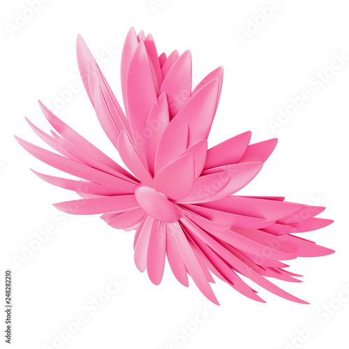 Light Pink Flower isolated on white background