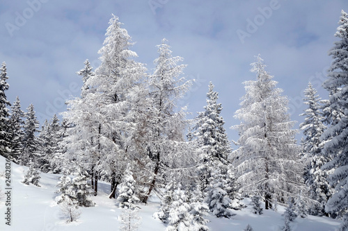 Paysage d'hiver © zoom56