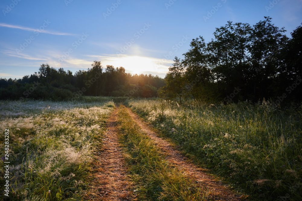 Early morning in the field. Beautiful summer landscape with sun and fog and a road