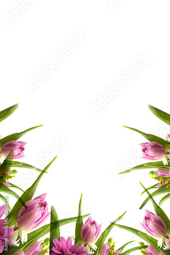 Pink flowers. Frame with rose flowers and tulip. Easter, spring concept. Flat lay, top view