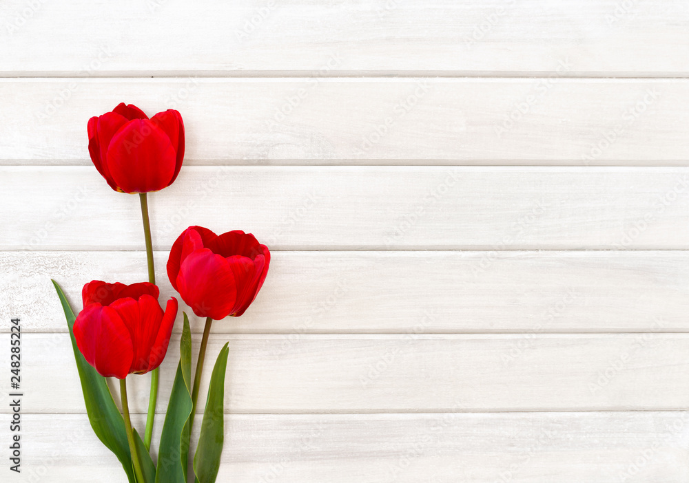 Fototapeta premium Decoration of Mothers day. Beautiful red tulips on background of white painted wooden planks with space for text. Top view, flat lay