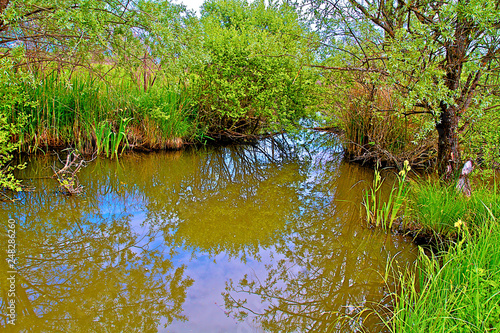 ETANG BRENNE © 357680 ANDRE CUZEL