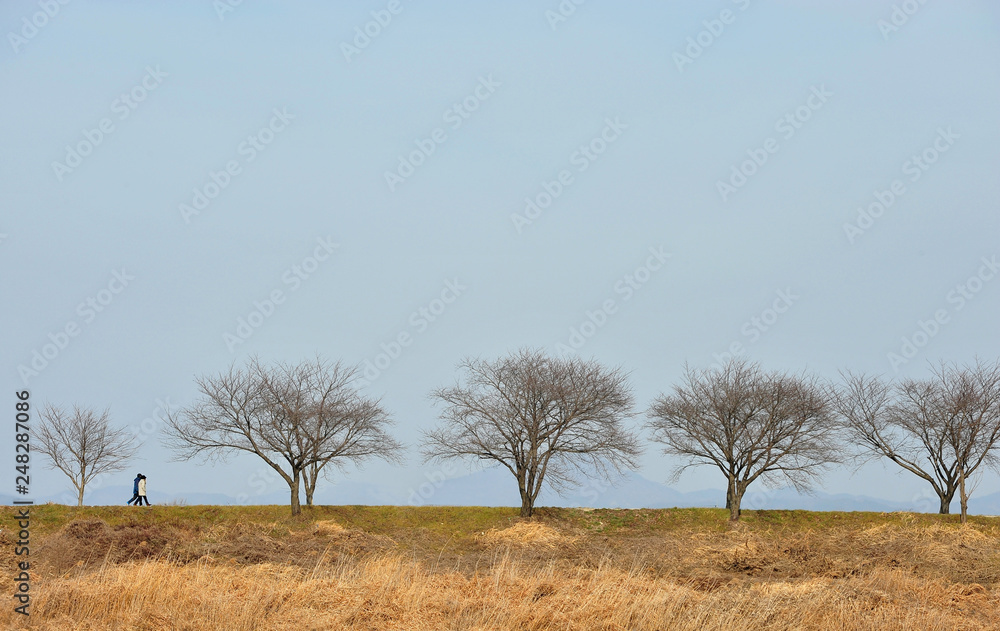 Landscape of the Embankment Road and winter trees Landscape of the Embankment Road and winter trees