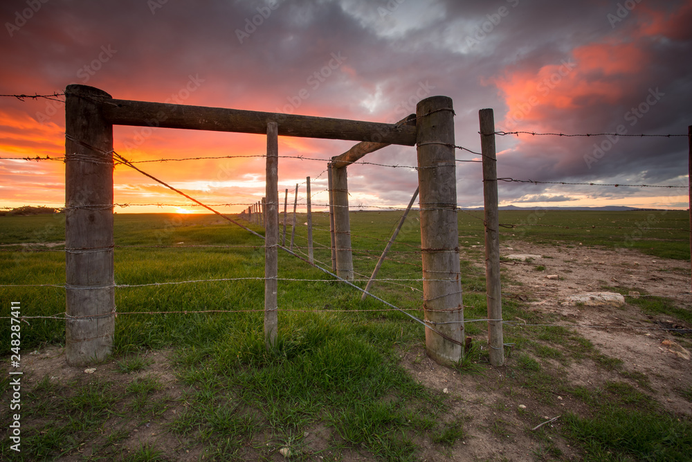 Stunning sunset over a field with fence post on a farm in south africa