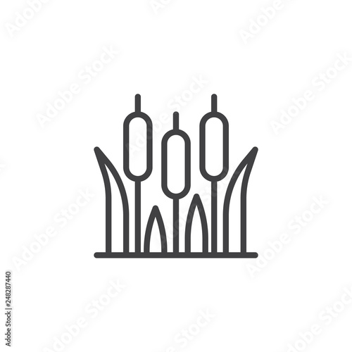 Reeds plant line icon. linear style sign for mobile concept and web design. Reeds grass outline vector icon. Cattail symbol, logo illustration. Pixel perfect vector graphics