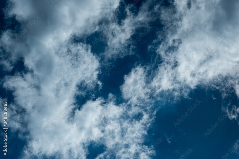 Obraz premium 青空