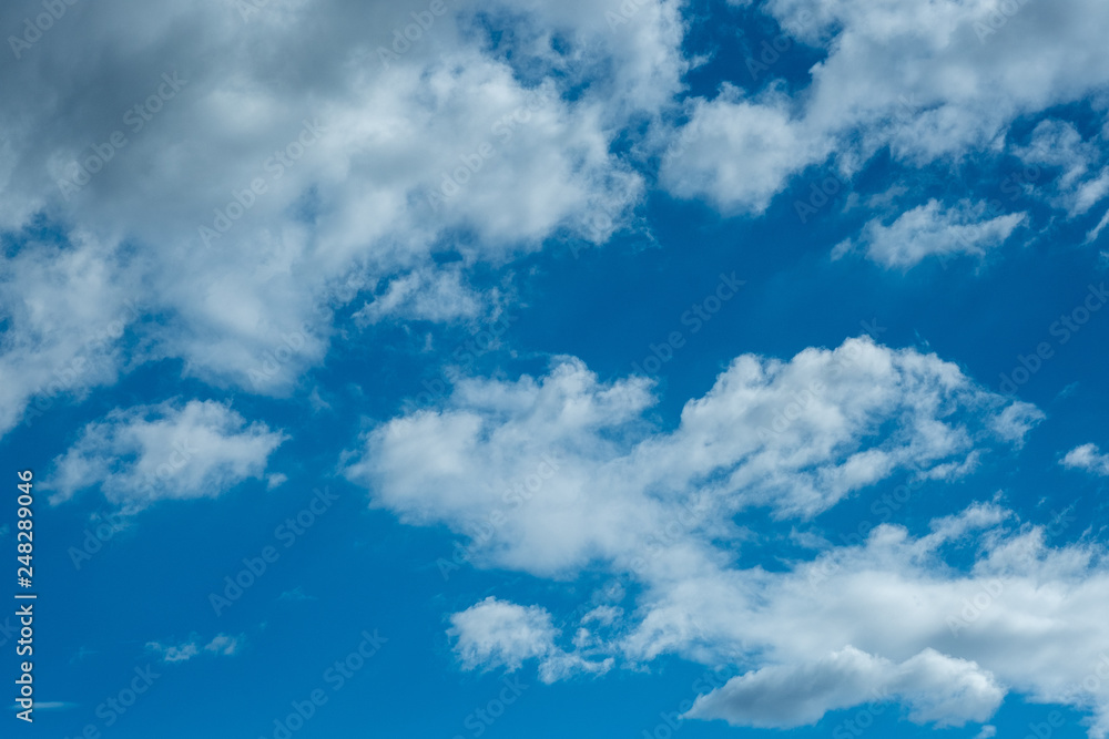 Obraz premium 青空