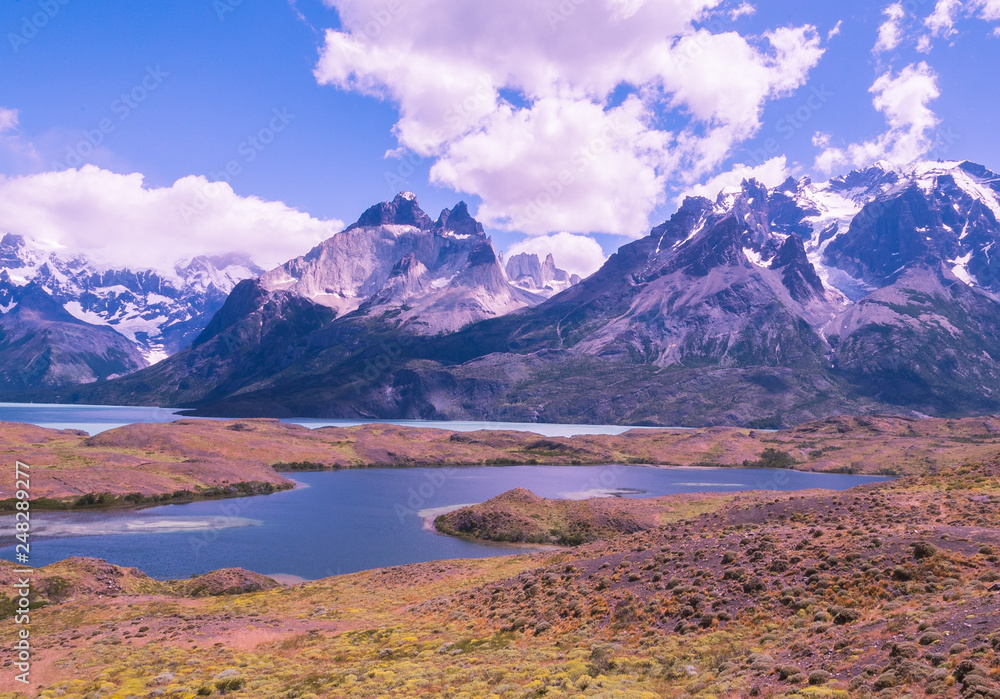 Patagonia scape