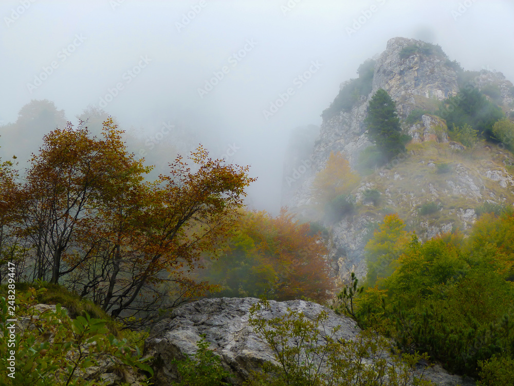 paesaggio montano in Autunno con pareti rocciose e bosco paesaggio montano in Autunno con pareti rocciose e bosco
