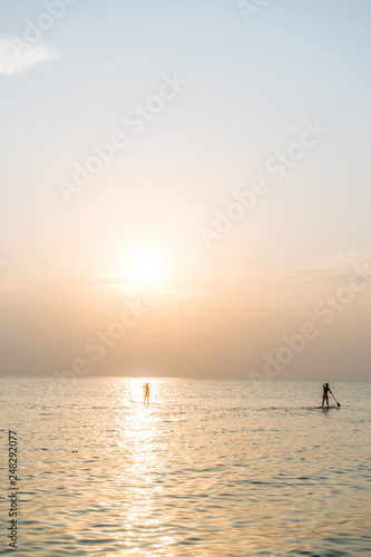 Stand up paddle board at sunset on the Phu Quoc beach Vietnam,travel concept,beach activity,Person stand up paddle boarding at dusk beautiful sunset colors © Hryhorii