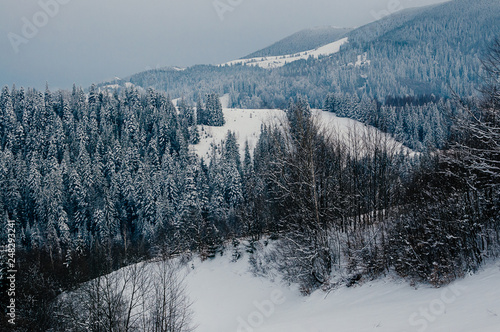 Breathtaking winter mountain landscape covered with snow, forests in the misty distant backdrop. Picturesque and peaceful wintry scene European resort location. Cloudy day