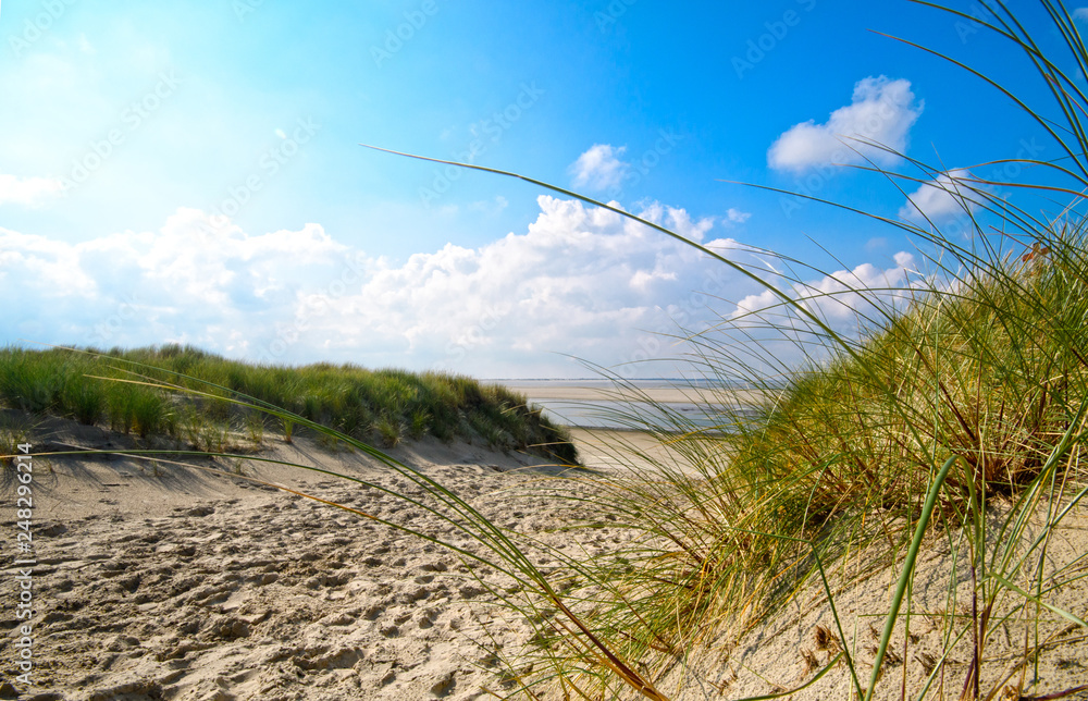 Dune beach on the North Sea island Langeoog in Germany with clouds on a beautiful summer day, holidays in Europe
