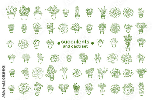 Set of and drawn line succulent plant isolated on white background. Vector illustration