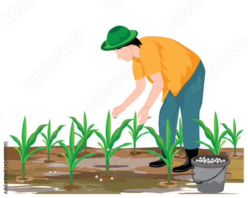 agriculturist manure corn plant vector design