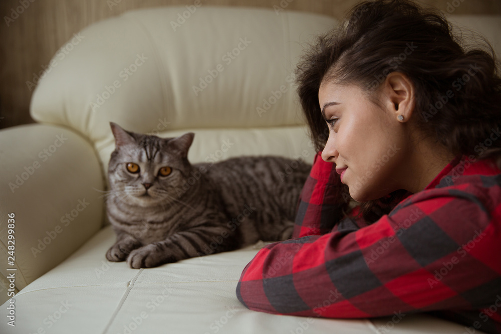 Girl and a big gray purebred cat Girl and a big gray purebred cat