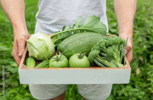 Farmer holding box with green organic vegetables. © lizaelesina