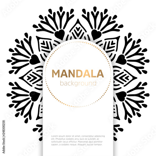Vector indian Mandala © visnezh