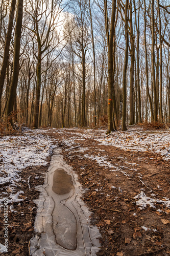 Winter in Heidelberg photo