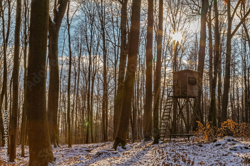 Winter in Heidelberg photo