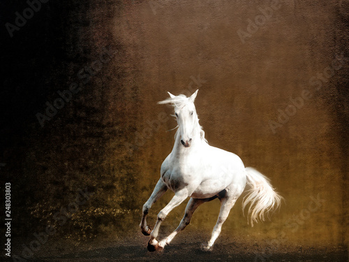 The Noble Horse