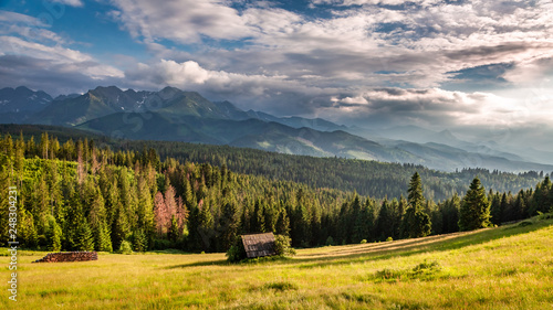 Fototapeta Naklejka Na Ścianę i Meble -  Cottage on green valley at sunset in Tatra mountains, Poland
