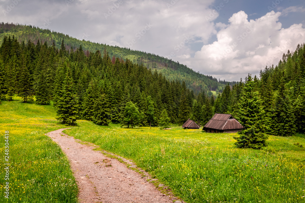 Green footpath to the Tatras Mountains in Poland, Europe Green footpath to the Tatras Mountains in Poland, Europe