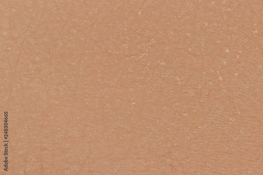Fototapeta premium human skin texture macro