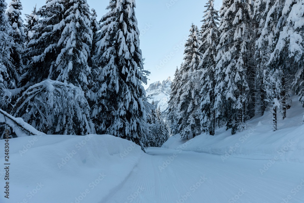 Fototapeta premium Landscape of Alps mountains in winter