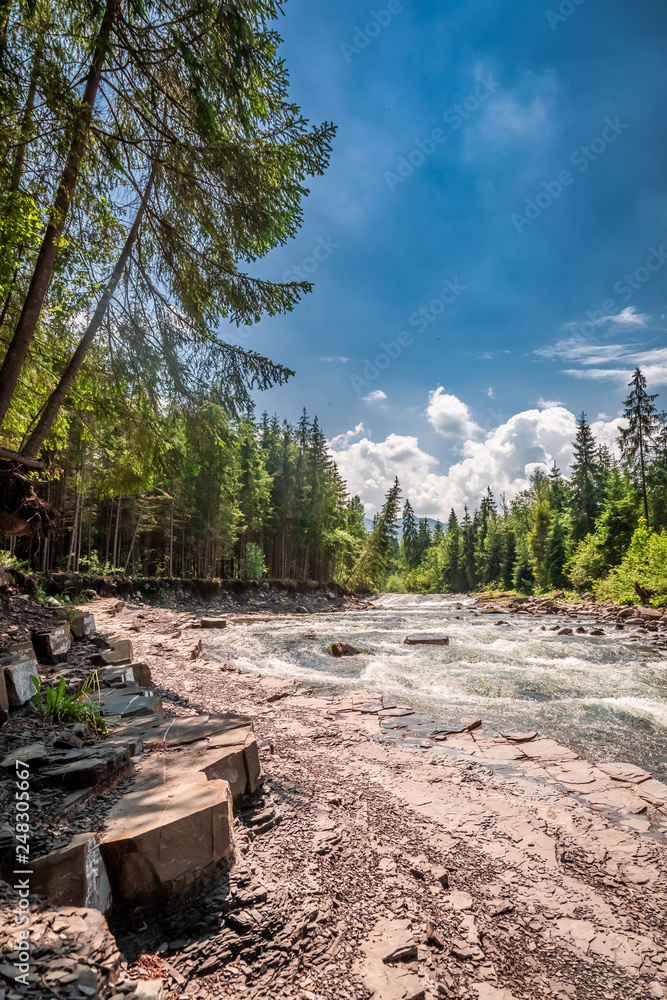 Wild and cold river in Tatras in summer, Slovakia