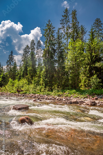 Wild river in Tatras mountains in summer, Slovakia