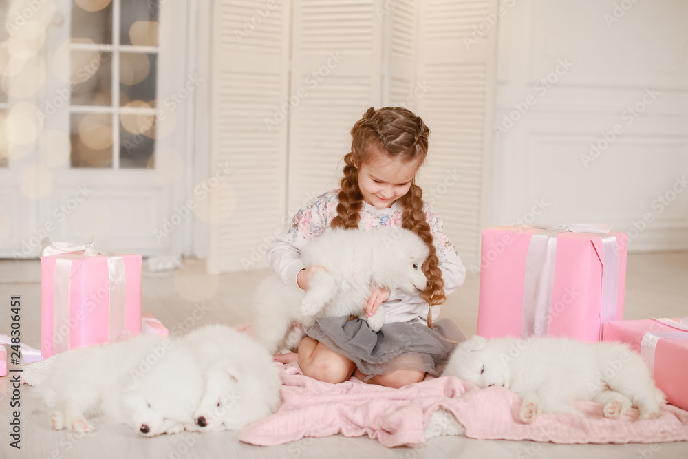 Child girl is holding puppy on her hands near pink the gift boxes Child girl is holding puppy on her hands near pink the gift boxes