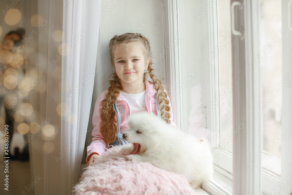 The girl with a pillow and white puppy in her arms. The girl with a pillow and white puppy in her arms.