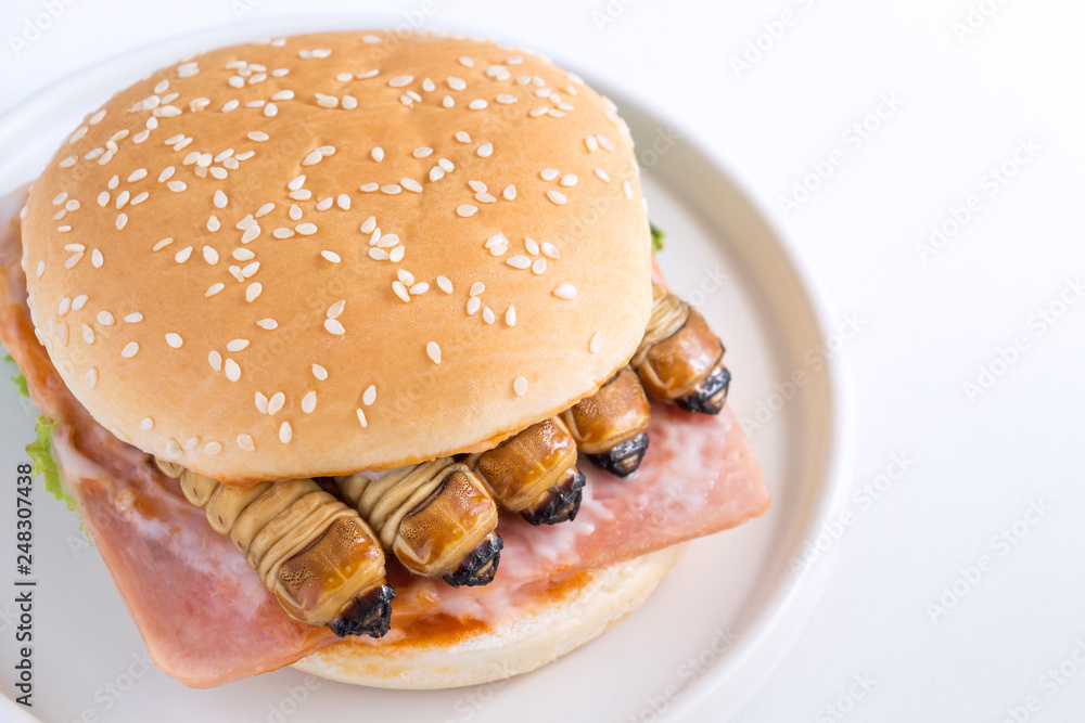 Food Insects: Worm beetle or Scarab Beetle for eating as food items in bread burger made of cooked insect meat with vegetable on plate is so rich in protein edible and delicious. Entomophagy concept. Food Insects: Worm beetle or Scarab Beetle for eating as food items in bread burger made of cooked insect meat with vegetable on plate is so rich in protein edible and delicious. Entomophagy concept.