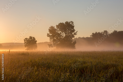 Misty Meadow in New England in the summer